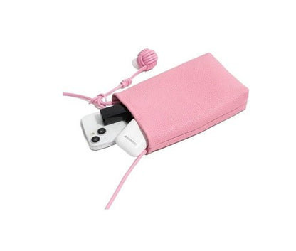 حقيبة الجلد